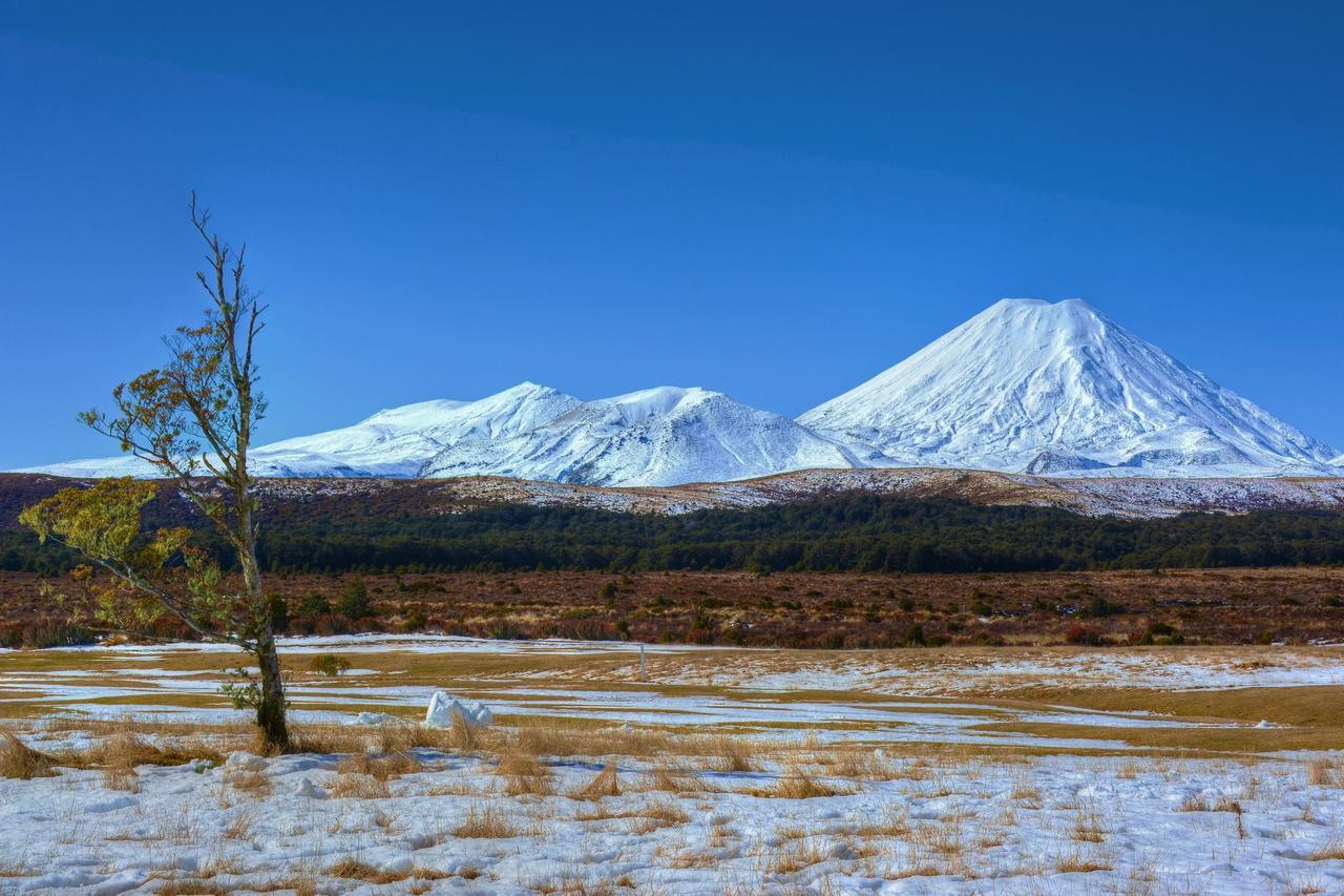 Beech Tree Lodge 오하쿠네 외부 사진
